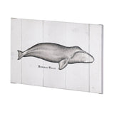 Bowhead Whale by Mercana Studio a Hand Embellished Textured Canvas by Mercana at Eve Furniture