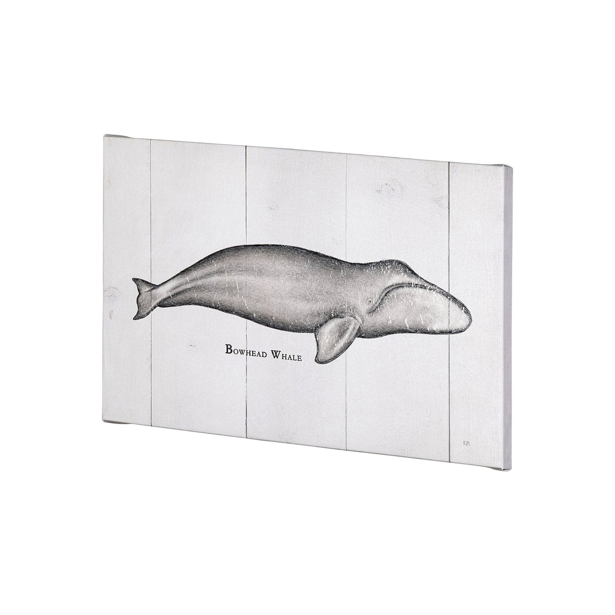 Bowhead Whale by Mercana Studio a Hand Embellished Textured Canvas by Mercana at Eve Furniture