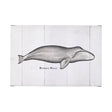 Bowhead Whale by Mercana Studio a Hand Embellished Textured Canvas by Mercana at Eve Furniture