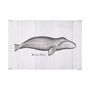Bowhead Whale by Mercana Studio a Hand Embellished Textured Canvas by Mercana at Eve Furniture