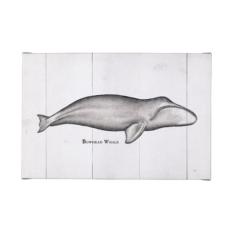 Bowhead Whale by Mercana Studio a Hand Embellished Textured Canvas by Mercana at Eve Furniture