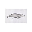 Bowhead Whale by Mercana Studio a Hand Embellished Textured Canvas by Mercana at Eve Furniture