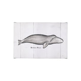 Bowhead Whale by Mercana Studio a Hand Embellished Textured Canvas by Mercana at Eve Furniture