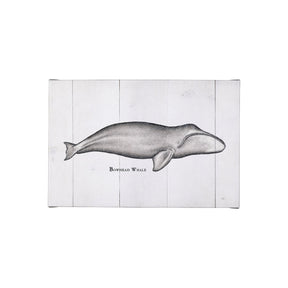 Bowhead Whale by Mercana Studio a Hand Embellished Textured Canvas by Mercana at Eve Furniture