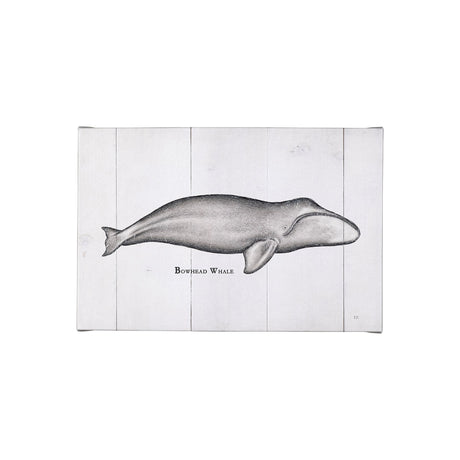 Bowhead Whale by Mercana Studio a Hand Embellished Textured Canvas by Mercana at Eve Furniture