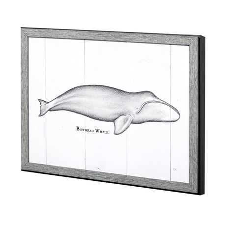 Bowhead Whale by Mercana Studio a Hand Embellished Textured Framed Art Print by Mercana at Eve Furniture