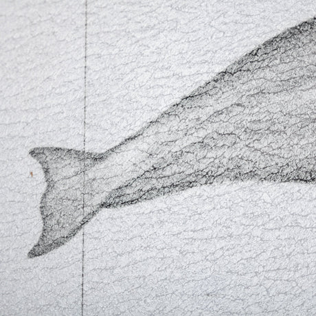 Bowhead Whale by Mercana Studio a Hand Embellished Textured Framed Art Print by Mercana at Eve Furniture