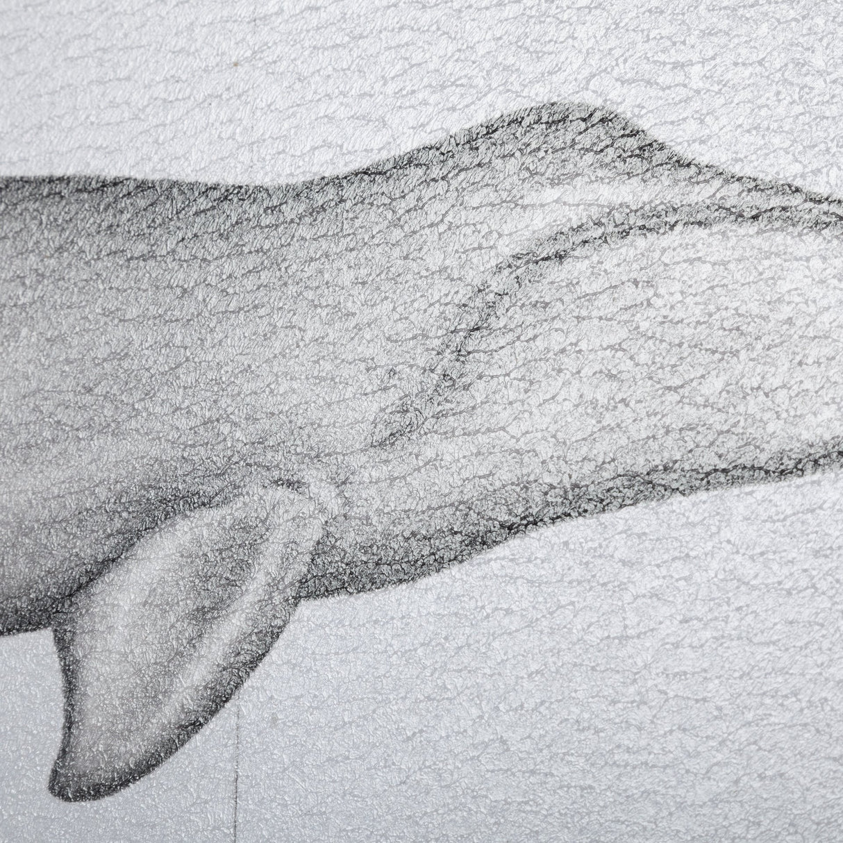 Bowhead Whale by Mercana Studio a Hand Embellished Textured Framed Art Print by Mercana at Eve Furniture