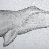 Bowhead Whale by Mercana Studio a Hand Embellished Textured Framed Art Print by Mercana at Eve Furniture