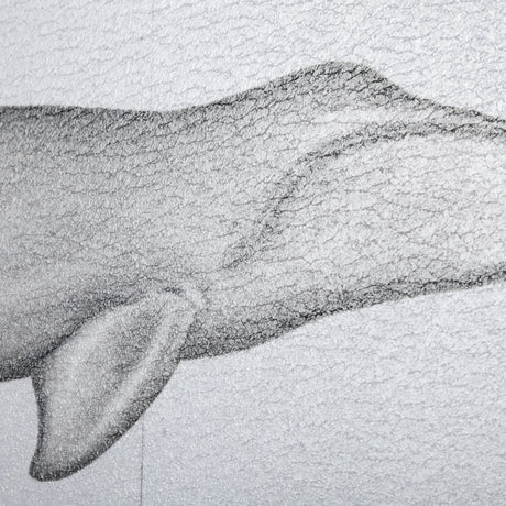 Bowhead Whale by Mercana Studio a Hand Embellished Textured Framed Art Print by Mercana at Eve Furniture