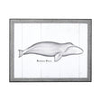 Bowhead Whale by Mercana Studio a Hand Embellished Textured Framed Art Print by Mercana at Eve Furniture