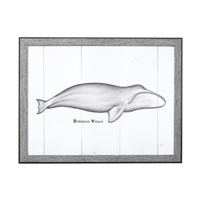 Bowhead Whale by Mercana Studio a Hand Embellished Textured Framed Art Print by Mercana at Eve Furniture