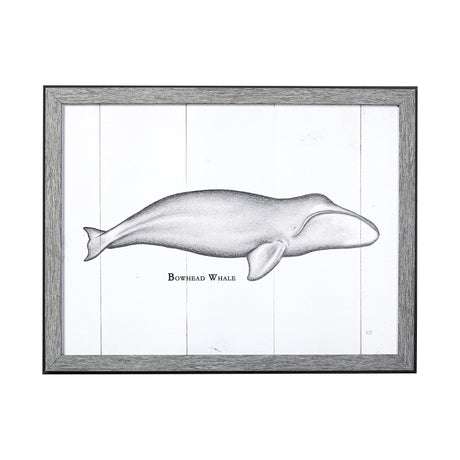 Bowhead Whale by Mercana Studio a Hand Embellished Textured Framed Art Print by Mercana at Eve Furniture