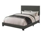 Boyd Charcoal Queen Upholstered Bed with Nailhead Trim by Coaster at Eve Furniture