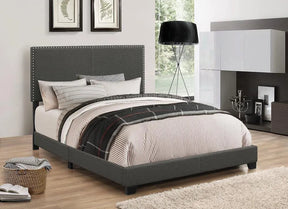 Boyd Charcoal Twin Upholstered Bed with Nailhead Trim by Coaster at Eve Furniture