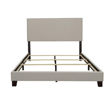 Boyd Ivory Queen Upholstered Bed with Nailhead Trim by Coaster at Eve Furniture