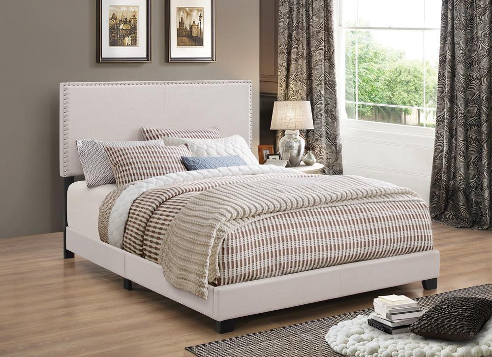 Boyd Ivory Queen Upholstered Bed with Nailhead Trim by Coaster at Eve Furniture