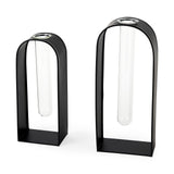 Boyer 5.1L x 3.0W x 12.0H Black Metal W/Glass Set of Two Test Tube Decorative Objects by Mercana at Eve Furniture