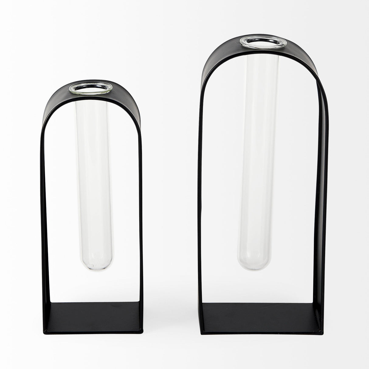 Boyer Black Metal W/Glass Set of Two Test Tube Decorative Objects by Mercana at Eve Furniture
