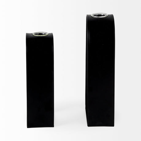 Boyer Black Metal W/Glass Set of Two Test Tube Decorative Objects by Mercana at Eve Furniture