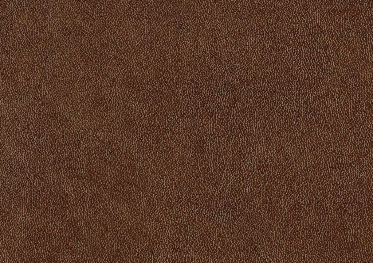 Braintree Brown Top-Grain Leather Accent Chair by Homelegance at Eve Furniture