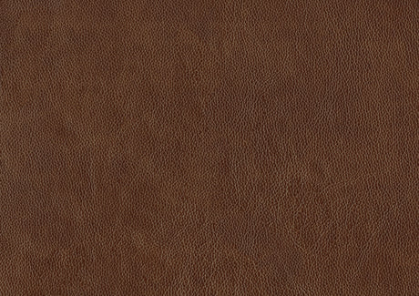 Braintree Brown Top-Grain Leather Accent Chair by Homelegance at Eve Furniture