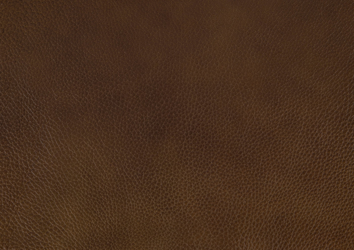 Braintree Brown Top-Grain Leather Accent Chair by Homelegance at Eve Furniture