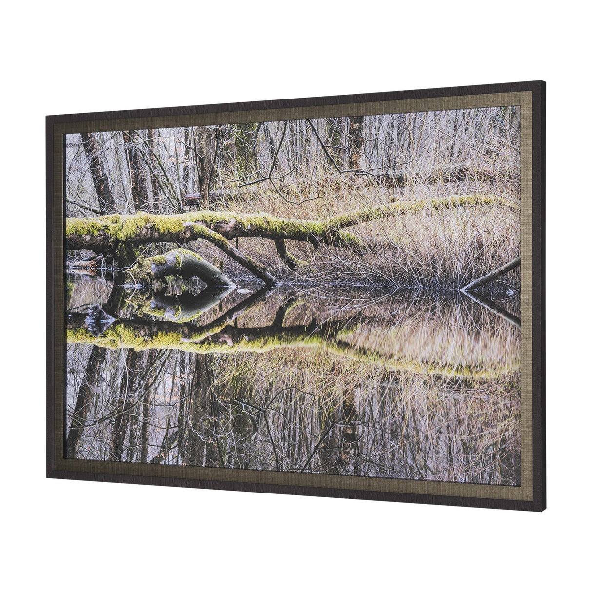 Branchscape Moss - Reflect by Mikael Svensson a Framed Photo Art Print Matted under Glass by Mercana at Eve Furniture