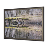 Branchscape Moss - Reflect by Mikael Svensson a Framed Photo Art Print Matted under Glass by Mercana at Eve Furniture