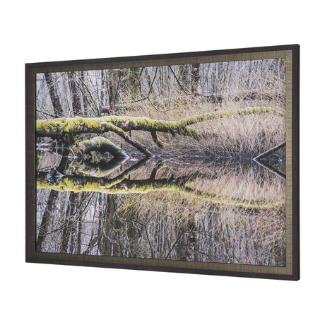 Branchscape Moss - Reflect by Mikael Svensson a Framed Photo Art Print Matted under Glass by Mercana at Eve Furniture