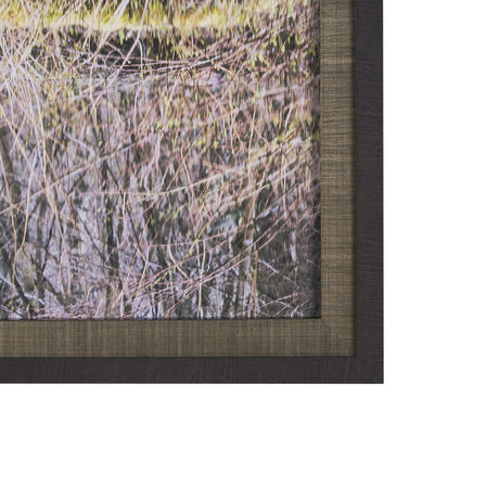 Branchscape Moss - Reflect by Mikael Svensson a Framed Photo Art Print Matted under Glass by Mercana at Eve Furniture