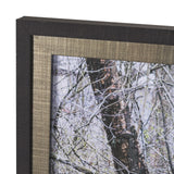 Branchscape Moss - Reflect by Mikael Svensson a Framed Photo Art Print Matted under Glass by Mercana at Eve Furniture