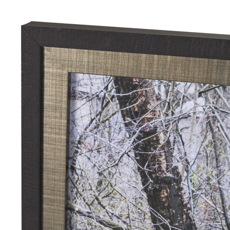 Branchscape Moss - Reflect by Mikael Svensson a Framed Photo Art Print Matted under Glass by Mercana at Eve Furniture