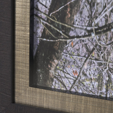 Branchscape Moss - Reflect by Mikael Svensson a Framed Photo Art Print Matted under Glass by Mercana at Eve Furniture