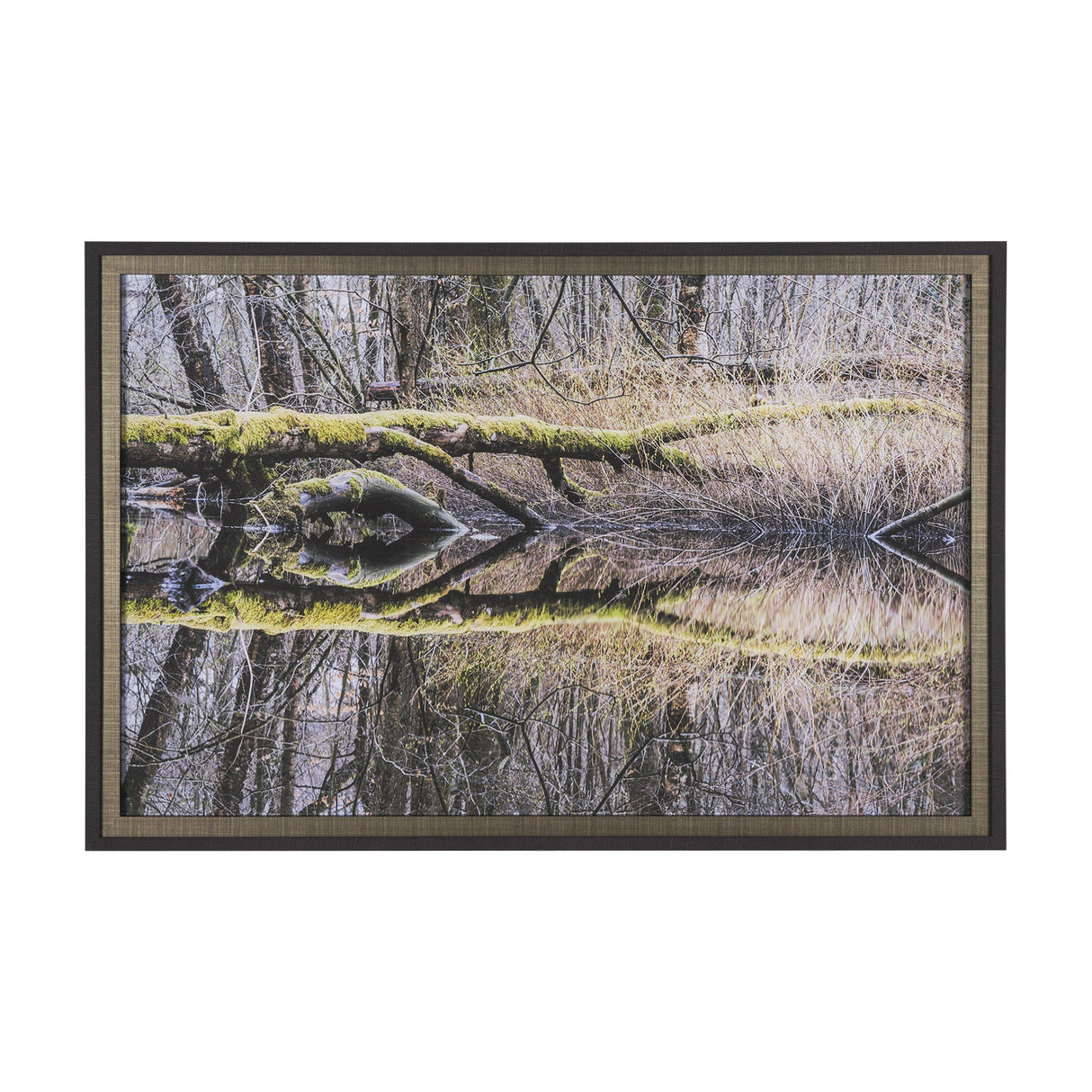 Branchscape Moss - Reflect by Mikael Svensson a Framed Photo Art Print Matted under Glass by Mercana at Eve Furniture