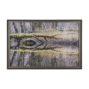 Branchscape Moss - Reflect by Mikael Svensson a Framed Photo Art Print Matted under Glass by Mercana at Eve Furniture
