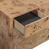 Brandyss 62" Burl 7-Drawer Dresser by TOV Furniture at Eve Furniture