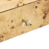Brandyss Burl Console Table by TOV Furniture at Eve Furniture