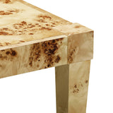 Brandyss Burl End Table by TOV Furniture at Eve Furniture
