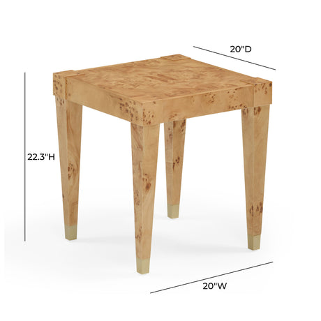 Brandyss Burl End Table by TOV Furniture at Eve Furniture