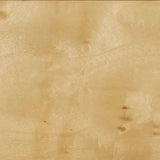 Brandyss Burl Nightstand by TOV Furniture at Eve Furniture