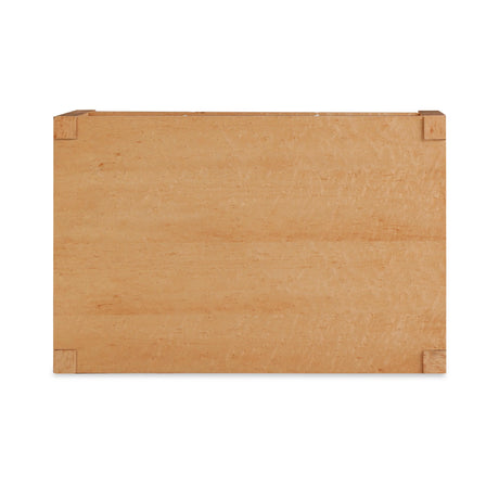 Brandyss Burl Nightstand by TOV Furniture at Eve Furniture