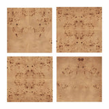 Brandyss Burl Nightstand by TOV Furniture at Eve Furniture