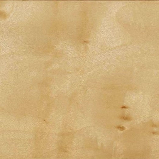 Brandyss Burl Nightstand by TOV Furniture at Eve Furniture