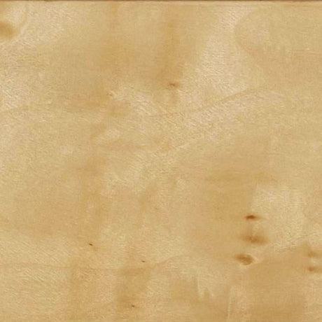 Brandyss Burl Nightstand by TOV Furniture at Eve Furniture