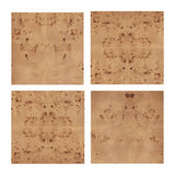 Brandyss Burl Nightstand by TOV Furniture at Eve Furniture