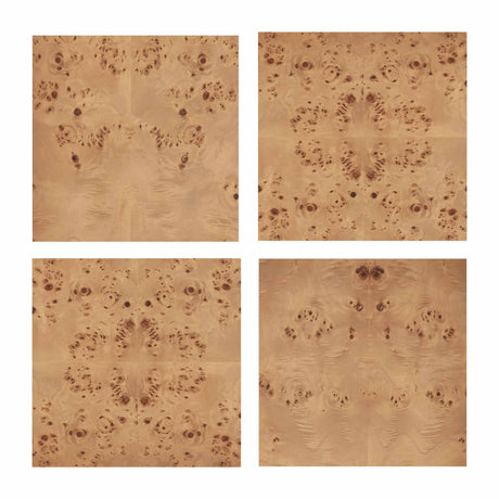 Brandyss Burl Nightstand by TOV Furniture at Eve Furniture