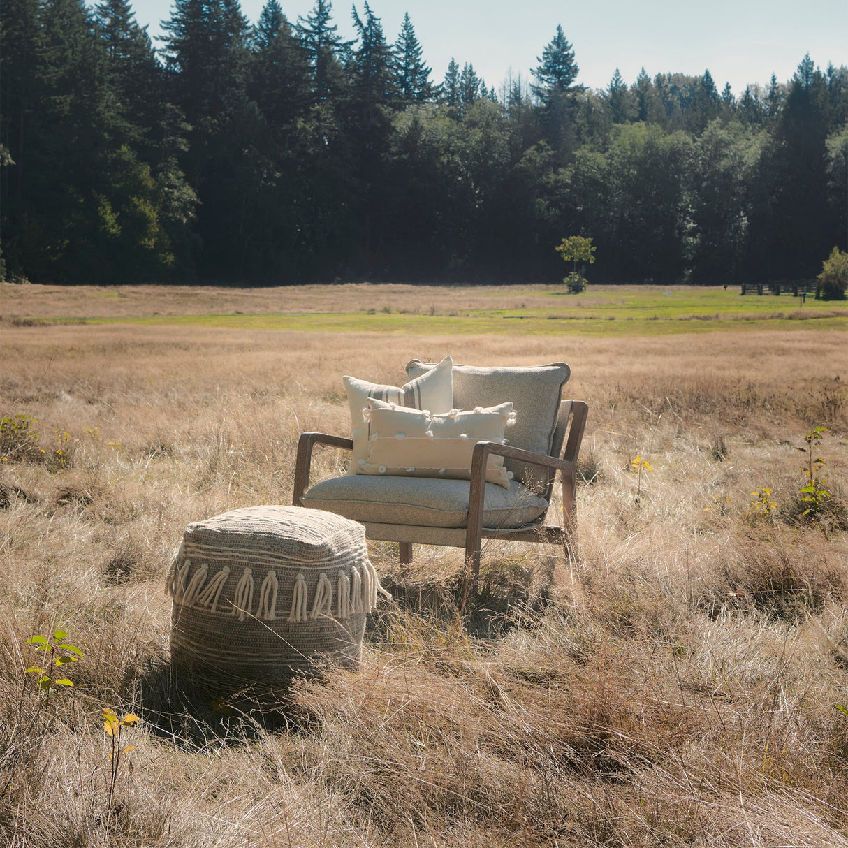 Brayden 28.3L x 34.1W x 35H Light Brown Wood W/ Beige Fabric Seat Accent Chair by Mercana at Eve Furniture