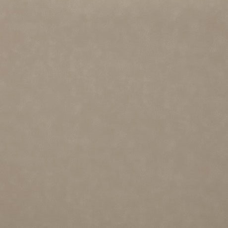 Brentwood Taupe Upholstered Manual Reclining Living Room Set by Coaster at Eve Furniture