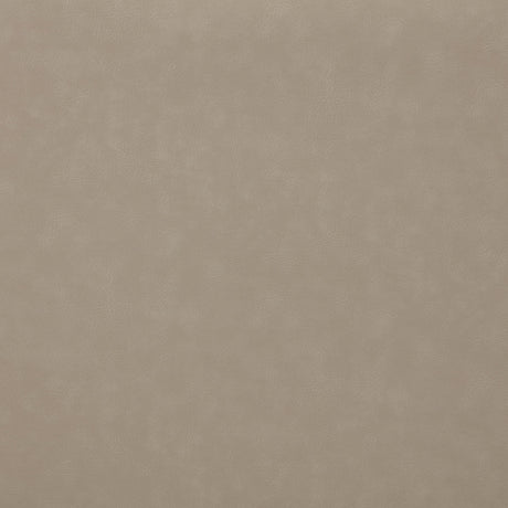 Brentwood Taupe Upholstered Recliner Chair by Coaster at Eve Furniture